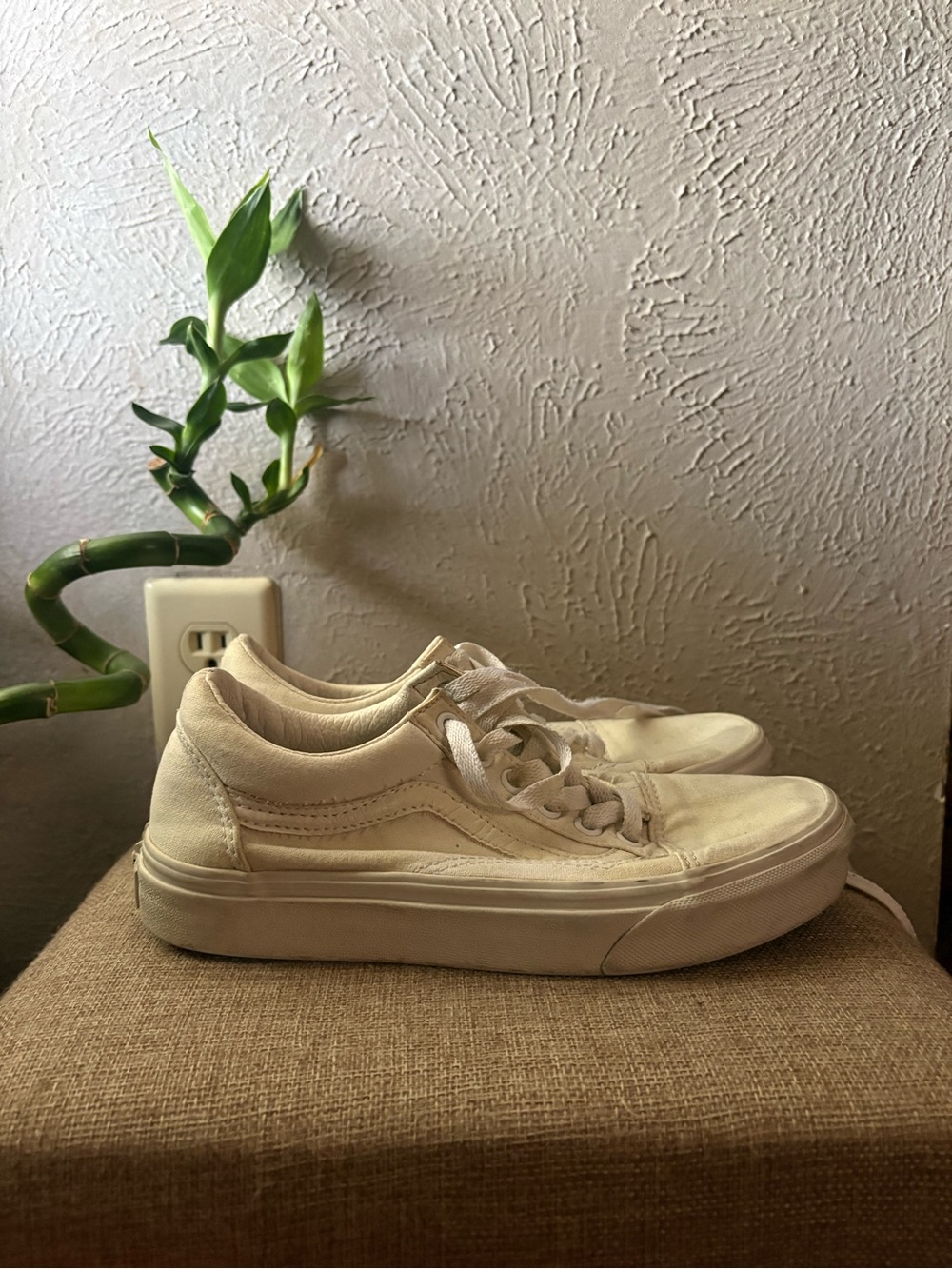 Vans Women's Low-Top Canvas Sneakers in Cream
